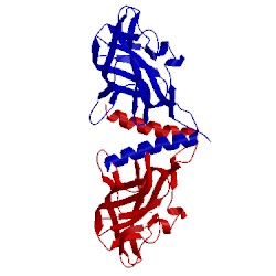 Image of CATH 4qds