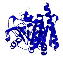 Image of CATH 4qdz