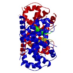 Image of CATH 4qe8