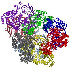 Image of CATH 4qfk