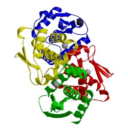 Image of CATH 4qhi