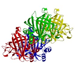Image of CATH 4qiy
