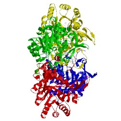 Image of CATH 4qj1