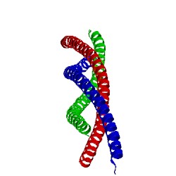 Image of CATH 4qkv