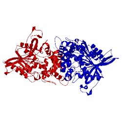 Image of CATH 4qla