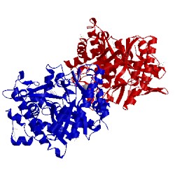 Image of CATH 4qlk