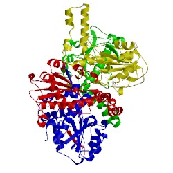 Image of CATH 4qly