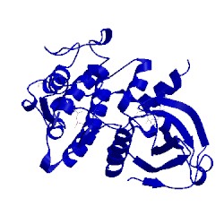 Image of CATH 4qmp