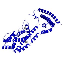 Image of CATH 4qn1