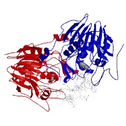 Image of CATH 4qn9