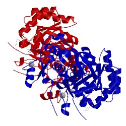 Image of CATH 4qne