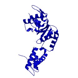 Image of CATH 4qnm