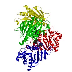 Image of CATH 4qnn