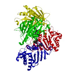 Image of CATH 4qnn