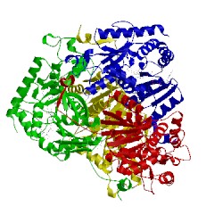 Image of CATH 4qo7