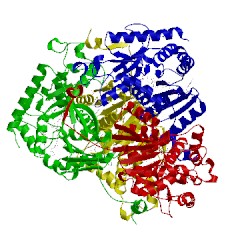 Image of CATH 4qo8