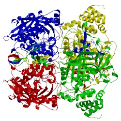 Image of CATH 4qon