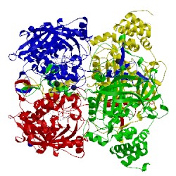 Image of CATH 4qoq
