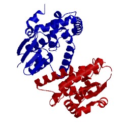 Image of CATH 4qq7