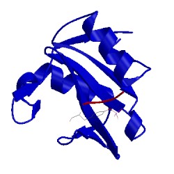 Image of CATH 4qsy