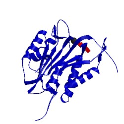 Image of CATH 4qty