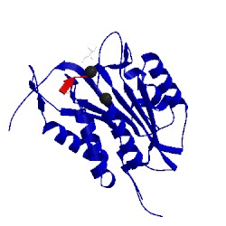 Image of CATH 4qu8