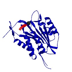 Image of CATH 4qub