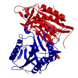 Image of CATH 4que