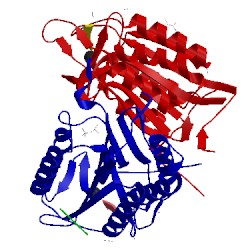 Image of CATH 4quh