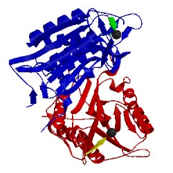 Image of CATH 4qul