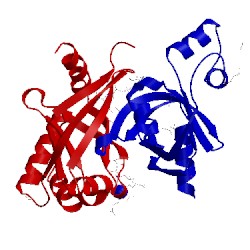 Image of CATH 4qvb
