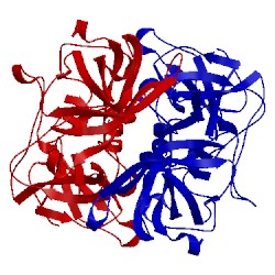 Image of CATH 4qvj