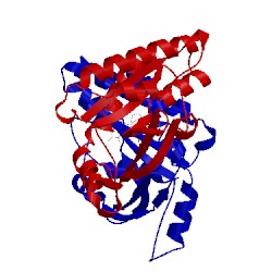 Image of CATH 4qxp