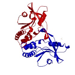 Image of CATH 4qxq
