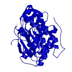 Image of CATH 4qyy