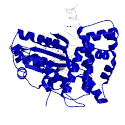 Image of CATH 4qzf