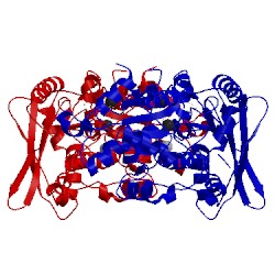 Image of CATH 4r0v