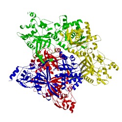 Image of CATH 4r28