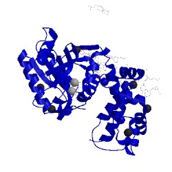 Image of CATH 4r65