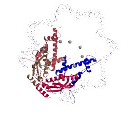 Image of CATH 4r8p