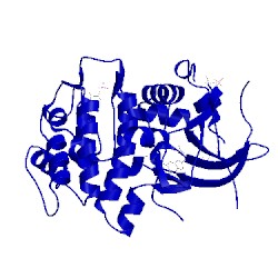 Image of CATH 4ra4