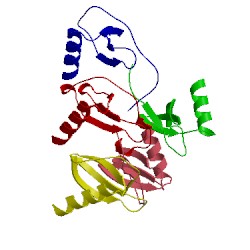 Image of CATH 4ra8