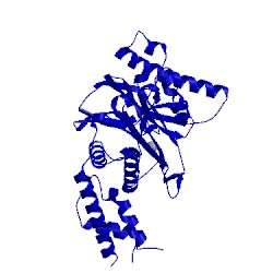 Image of CATH 4rag