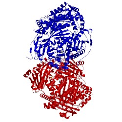 Image of CATH 4ral