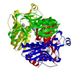 Image of CATH 4ran