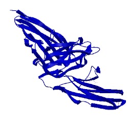 Image of CATH 4rca