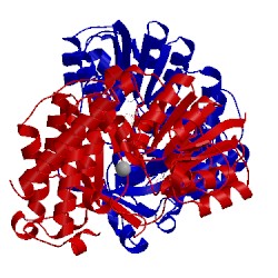 Image of CATH 4rcv