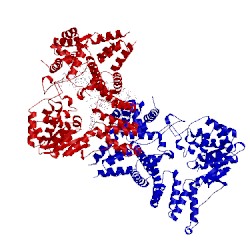 Image of CATH 4rea