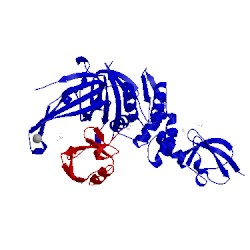 Image of CATH 4rf1