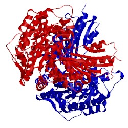 Image of CATH 4rf6